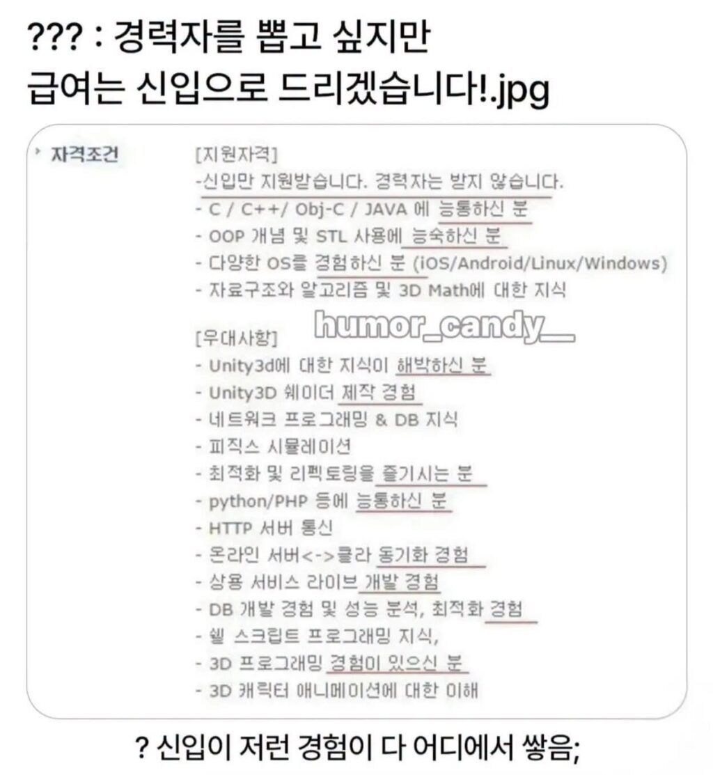 신입만 받습니다. 경력자는 받지 않습니다..jpg