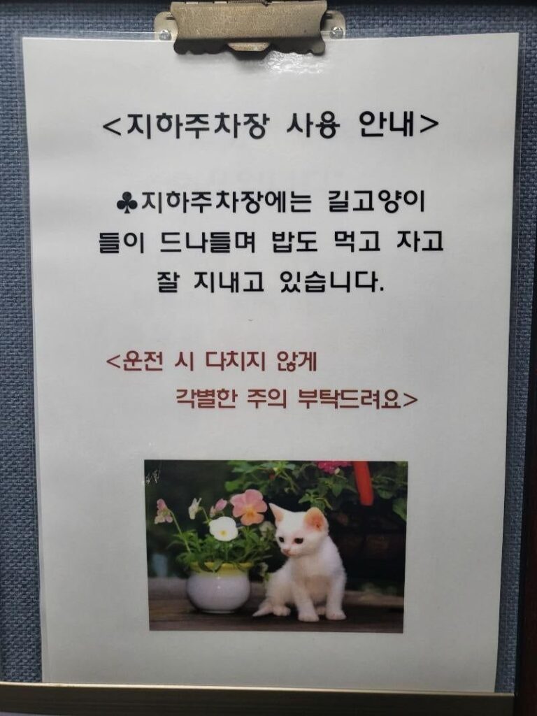 캣맘들의 일방적인 "통보"