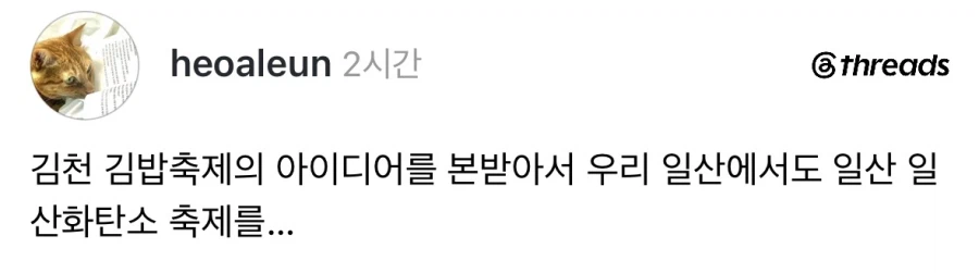 일산은 지역축제 할거 뭐 없나.