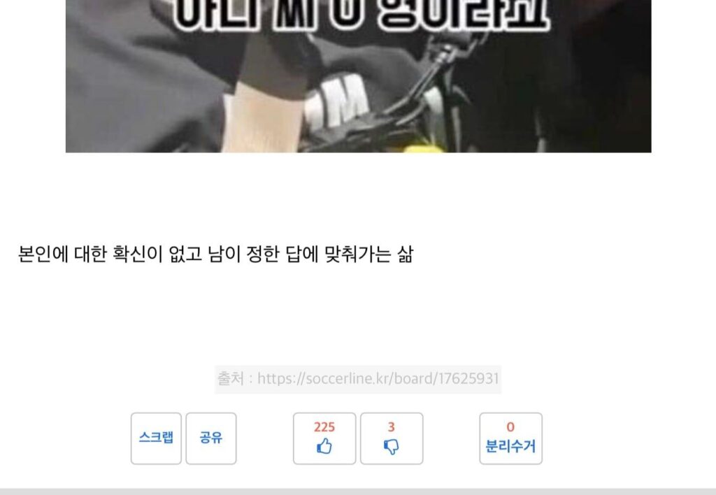 의외로 많은 사람들이 공감했다는 주우재, 빠니보틀 소신발언...[스압]