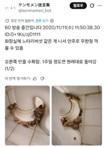 화장실에서 버섯채취해서 요리해봄