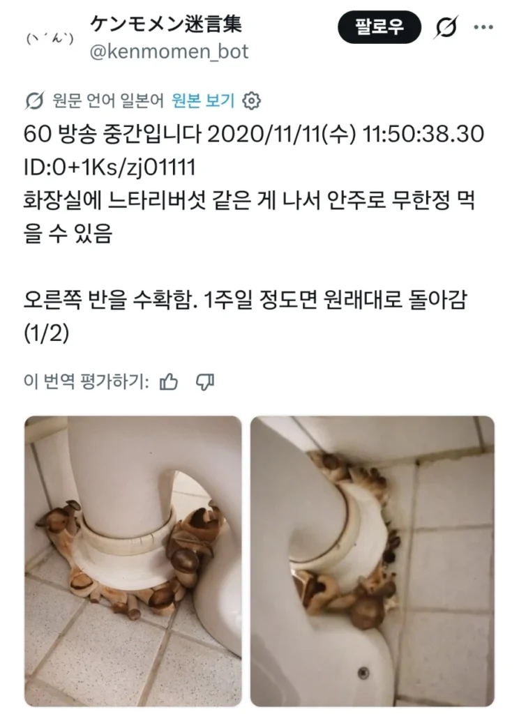 화장실에서 버섯채취해서 요리해봄