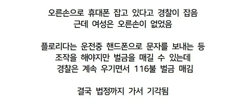운전중 휴대전화 사용으로 경찰에 걸림