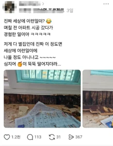 아파트 인테리어 하러갔다가 벌집 발견한 사람