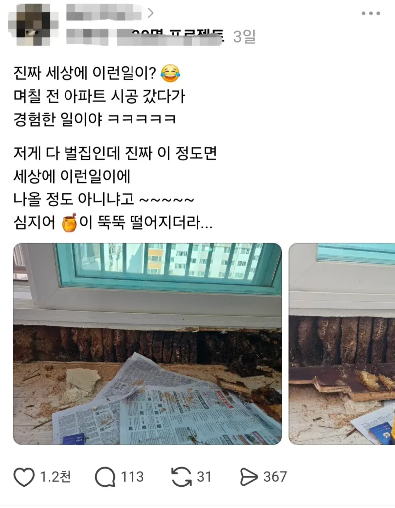 아파트 인테리어 하러갔다가 벌집 발견한 사람