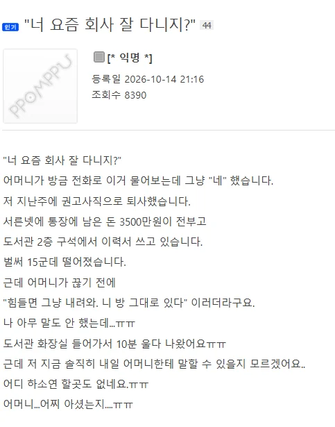"너 요즘 회사 잘 다니지?" (펌)