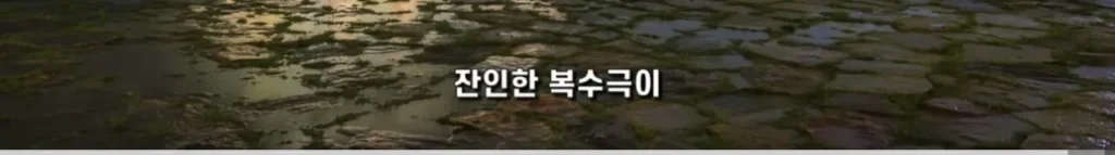 중국의 심각한 사회문제 ‘복수문화’