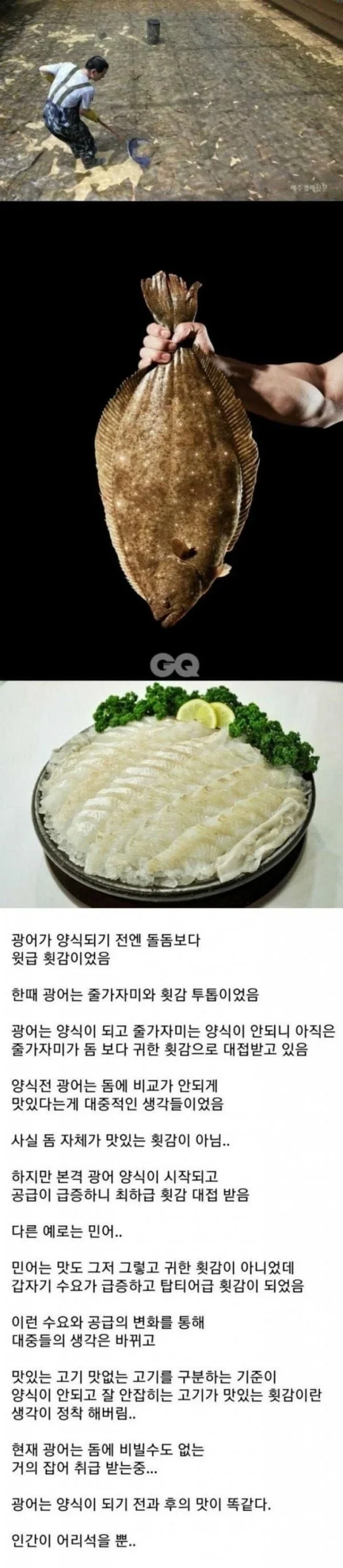 횟집이 광어로 사기 안치는 이유.jpg