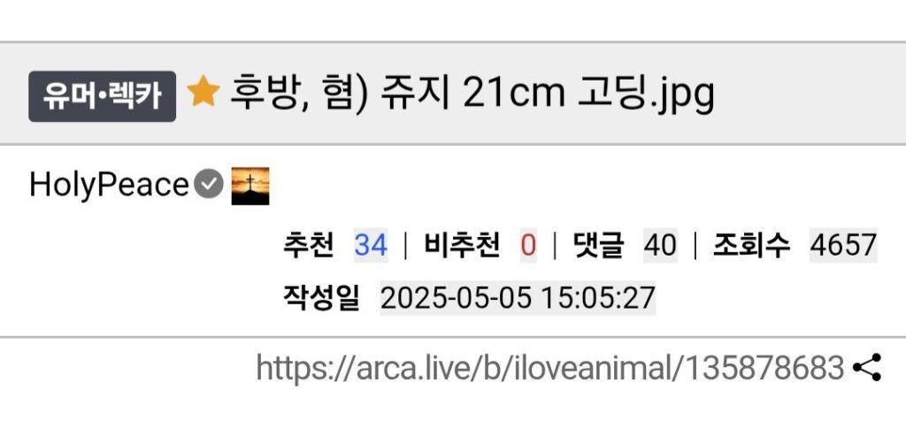 노발기 21cm 인증한 07년생 부산 남자.jpg