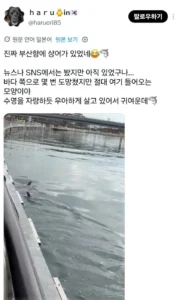 부산 북항에 간 일본인