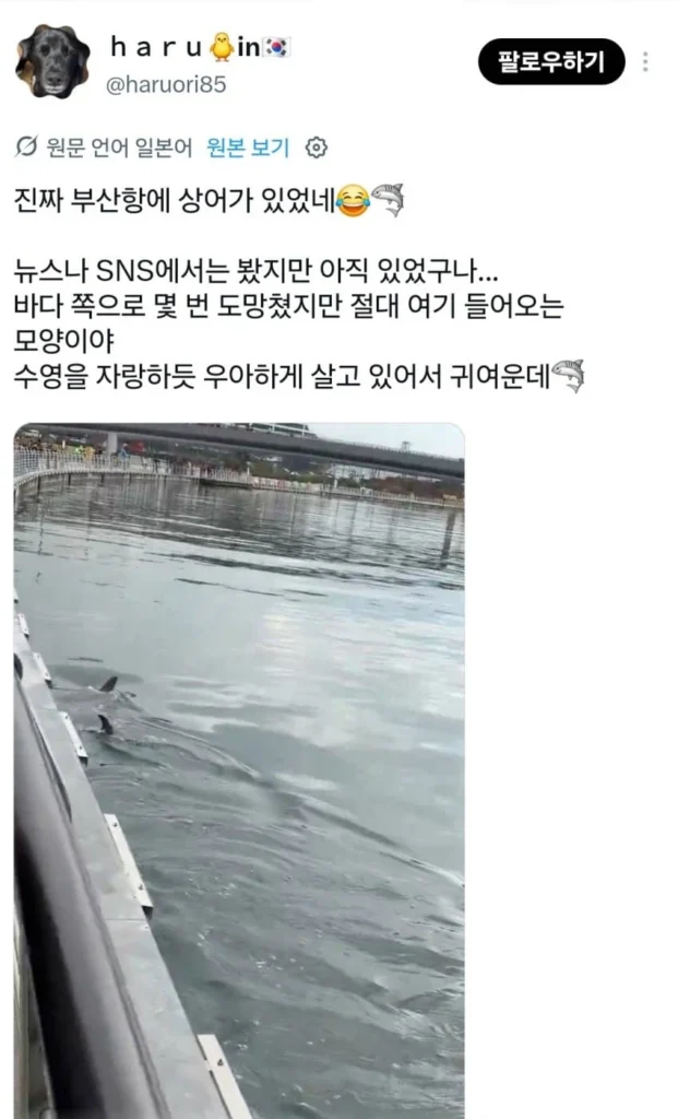부산 북항에 간 일본인
