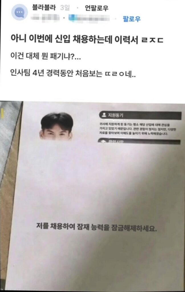 컨셉 제대로 잡은 신입 이력서