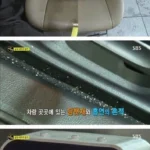 세차 레전드