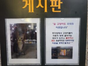 캣맘들의 일방적인 "통보"