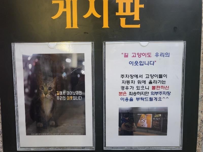캣맘들의 일방적인 "통보"