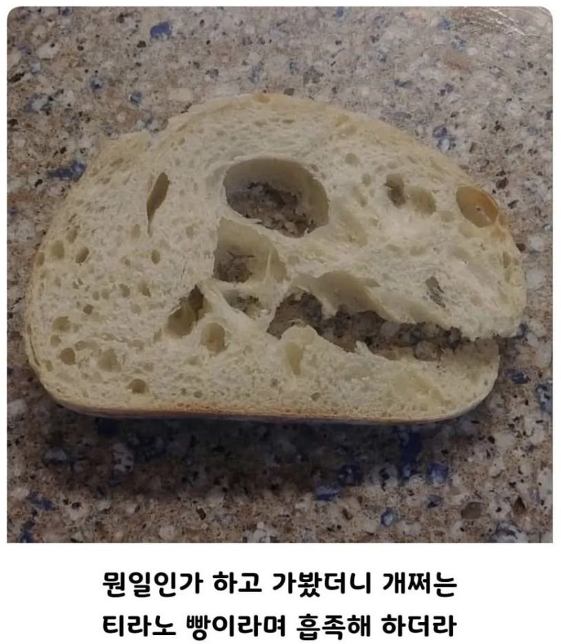 남편이 빨리 와 보라고 부르길래...