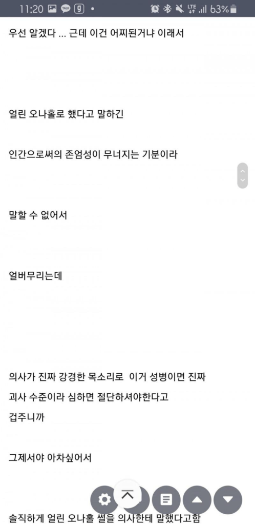 냉동 오나홀 대참사