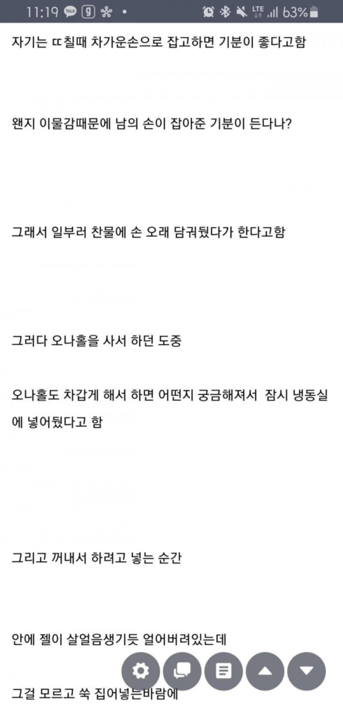 냉동 오나홀 대참사