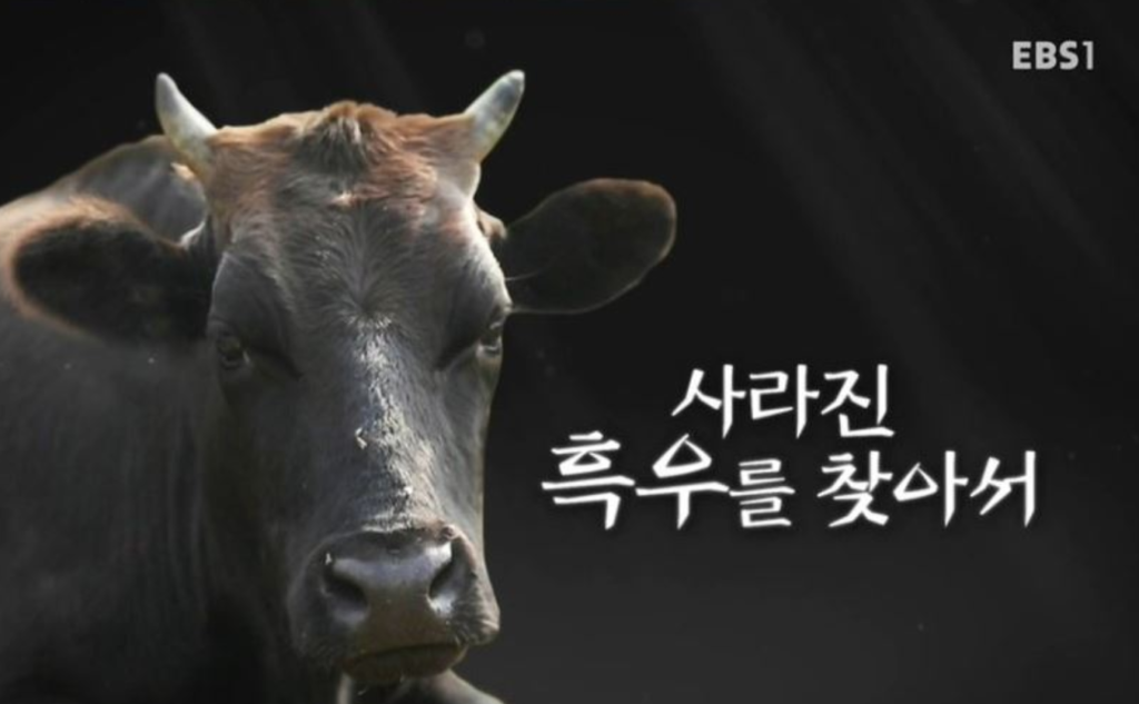 여친이 미국 여군인데