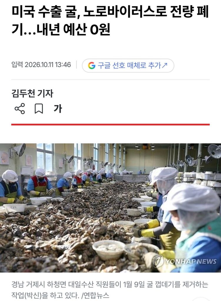 미국에 수출 된 굴이 6번이나 폐기 된 이유