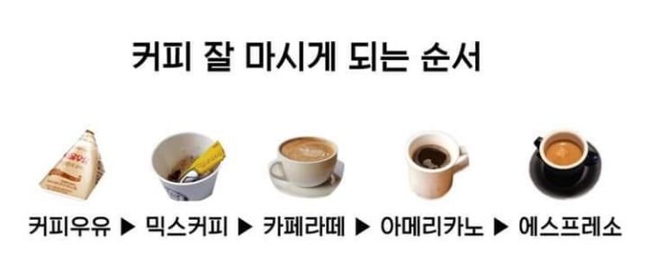 커피 고수가 되는 순서