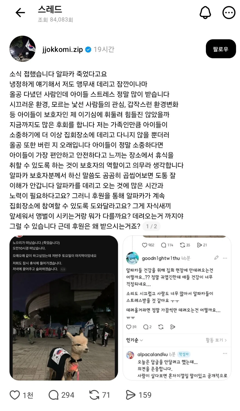 알파카 때문에 싸움 났다는 올공.JPG