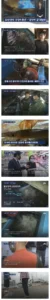 오징어 풍년이어도 가격 안내리는 이유