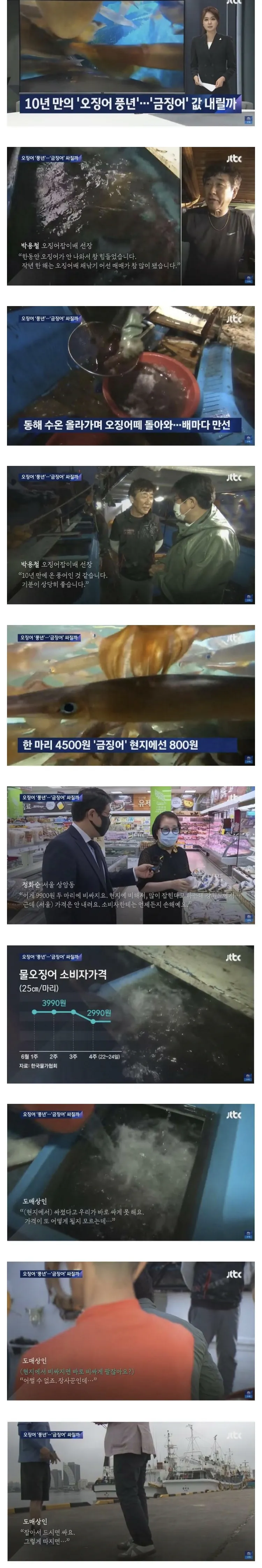 오징어 풍년이어도 가격 안내리는 이유