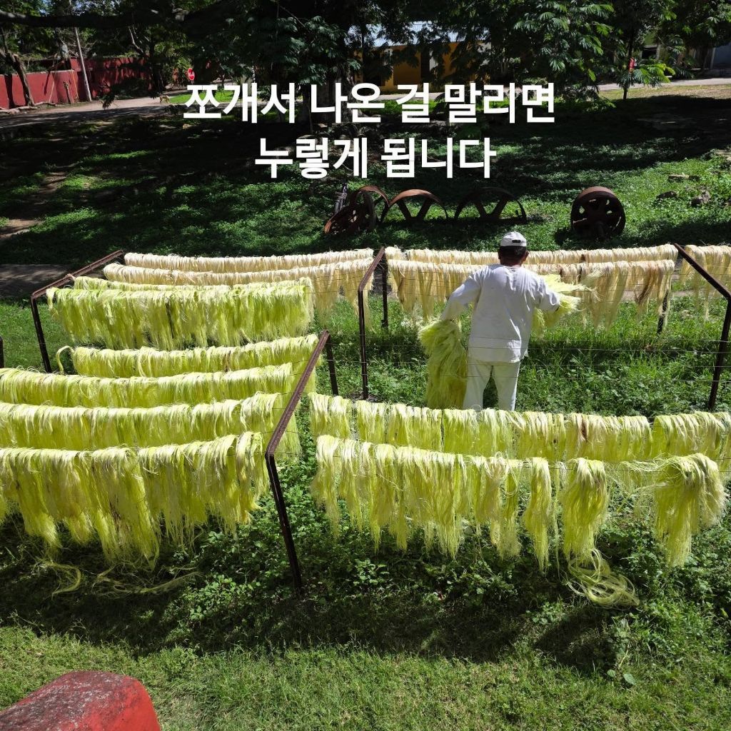 우리 선조들이 멕시코에 가서 한 일