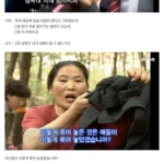 현재 대한민국 근현대사 최대의 미스테리가 된 사건