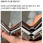 애플교 근황