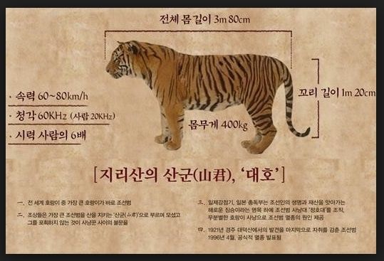 이색기 이거 순사기챔이었네
