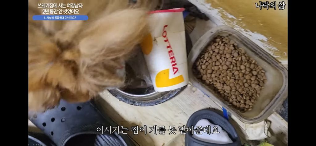 2년동안 안씻은 동성애자