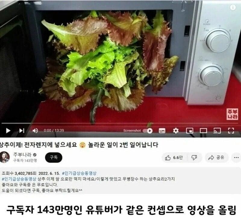 97만 유튜버 영상 카피한 143만 유투버.jpg
