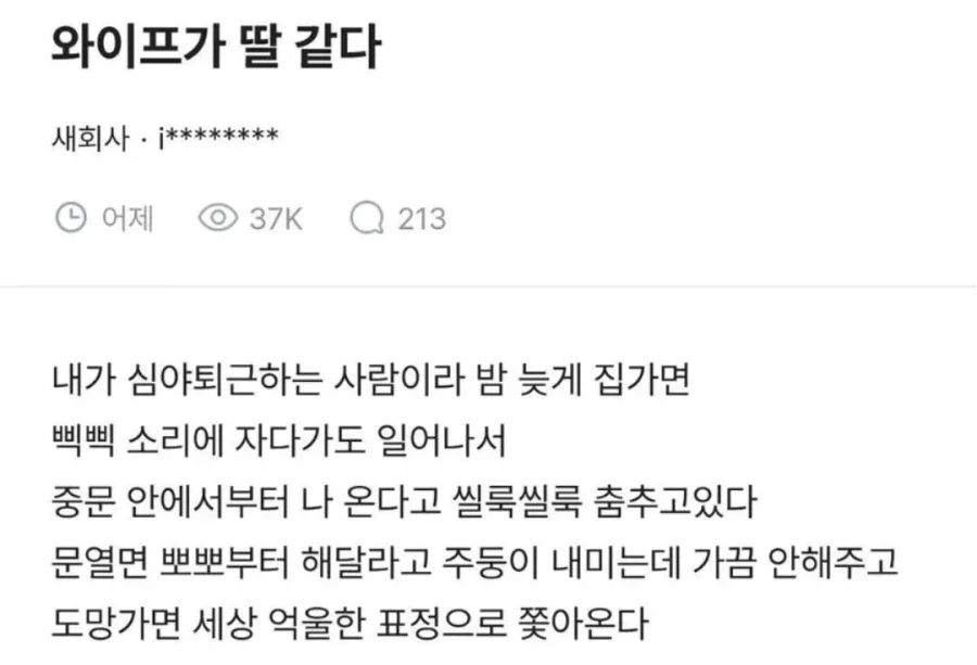장모님 딸이 내 딸 같다