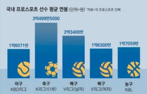국내 프로 선수 평균 연봉
