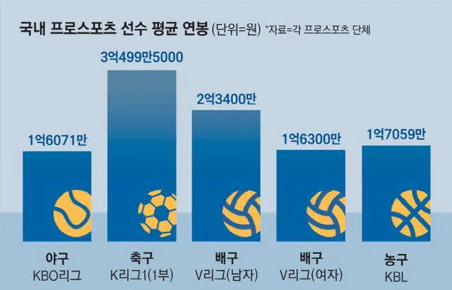 국내 프로 선수 평균 연봉