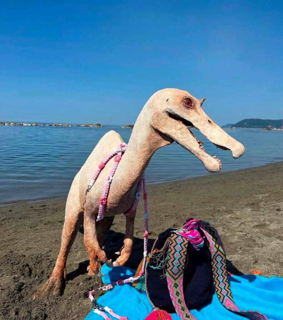 해외에서 급격히 유행중인 애완동물.