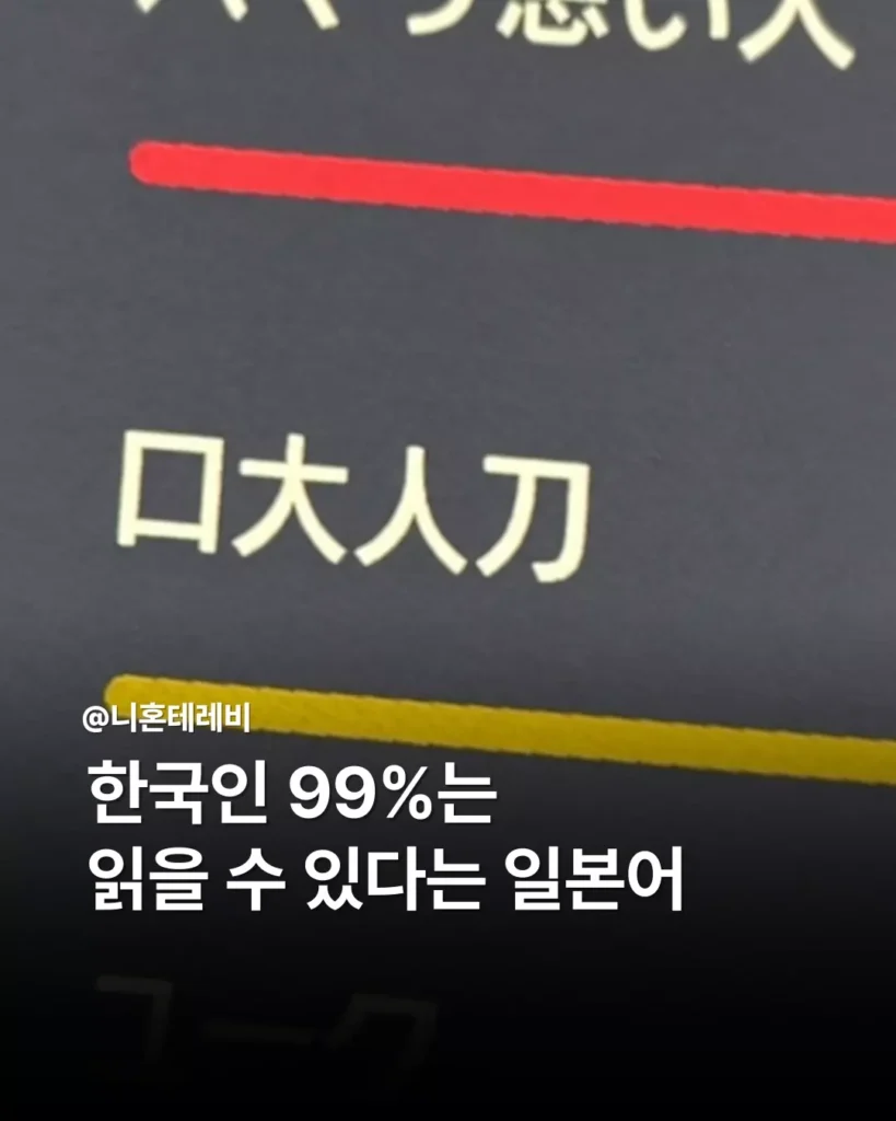 영크크 늙크크 차이점