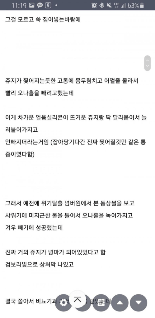 냉동 오나홀 대참사