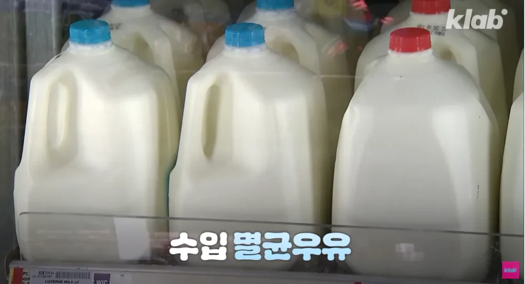 40년만에 최저수준을 찍었다는 우유 소비.news
