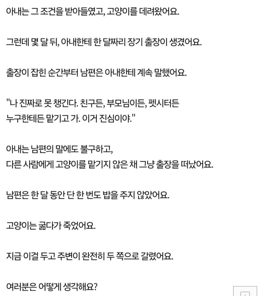 (판)남편이 고양이를 굶겨 죽였어요.jpg