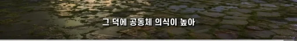 중국의 심각한 사회문제 ‘복수문화’
