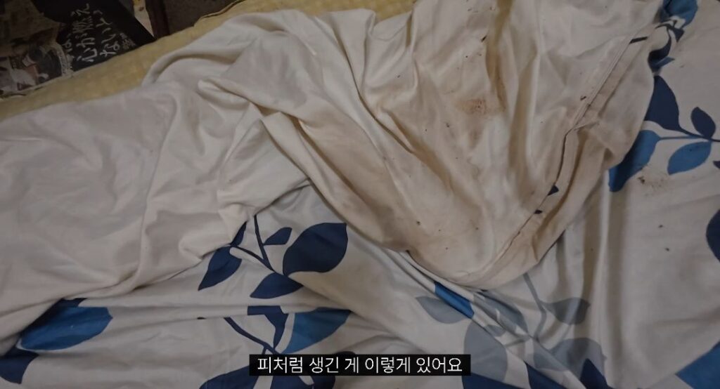 약혐) 일본에서 가장 악명 높은 숙소.jpg