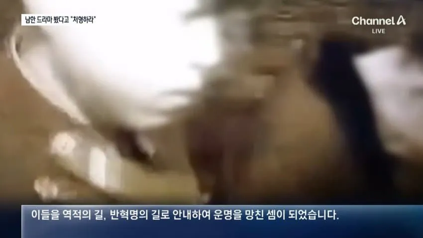 "한국 드라마 본 것 후회" 처벌 받고 흐느낀 북한군…