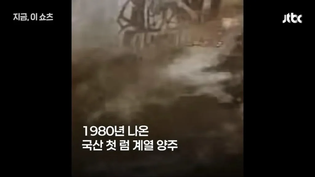 마시면 이틀 후 깬다는 캪틴큐 부활.jpg
