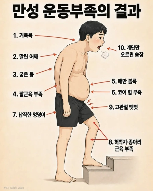만성 운동부족 남자 몸매 특징