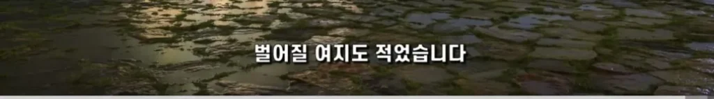 중국의 심각한 사회문제 ‘복수문화’