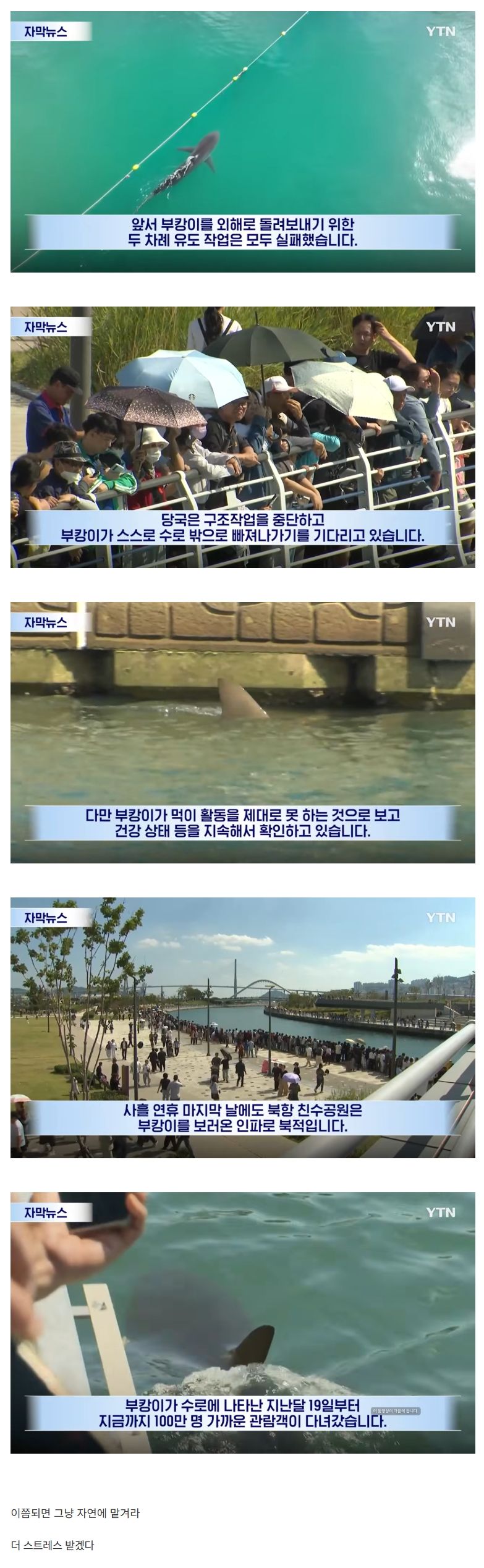 결국 부캉이 구조작전 포기