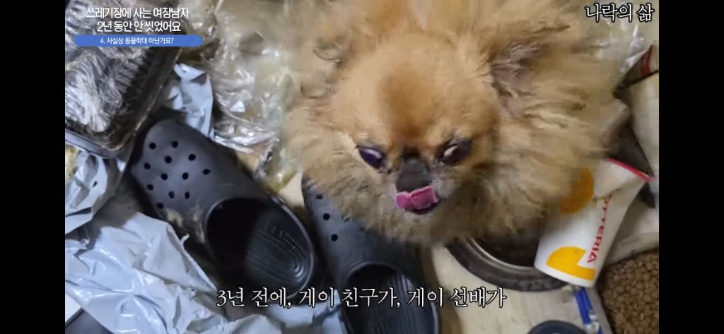 2년동안 안씻은 동성애자